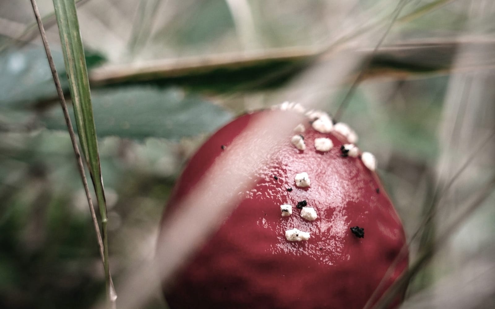 relational greenwashing