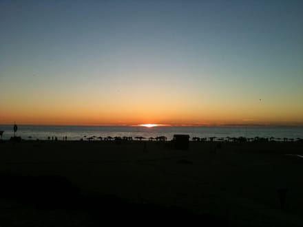 Interlude: a summer day